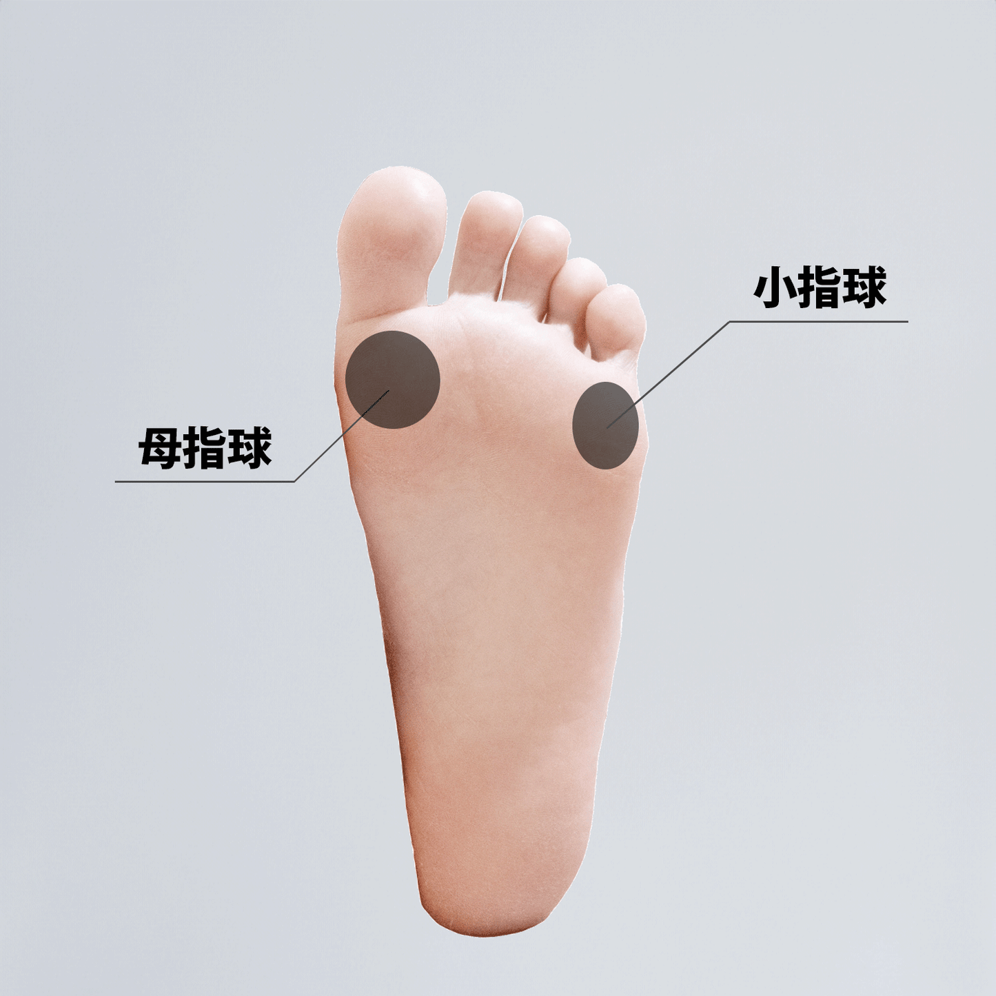 QOM Power Gear 1セット(2個入り)