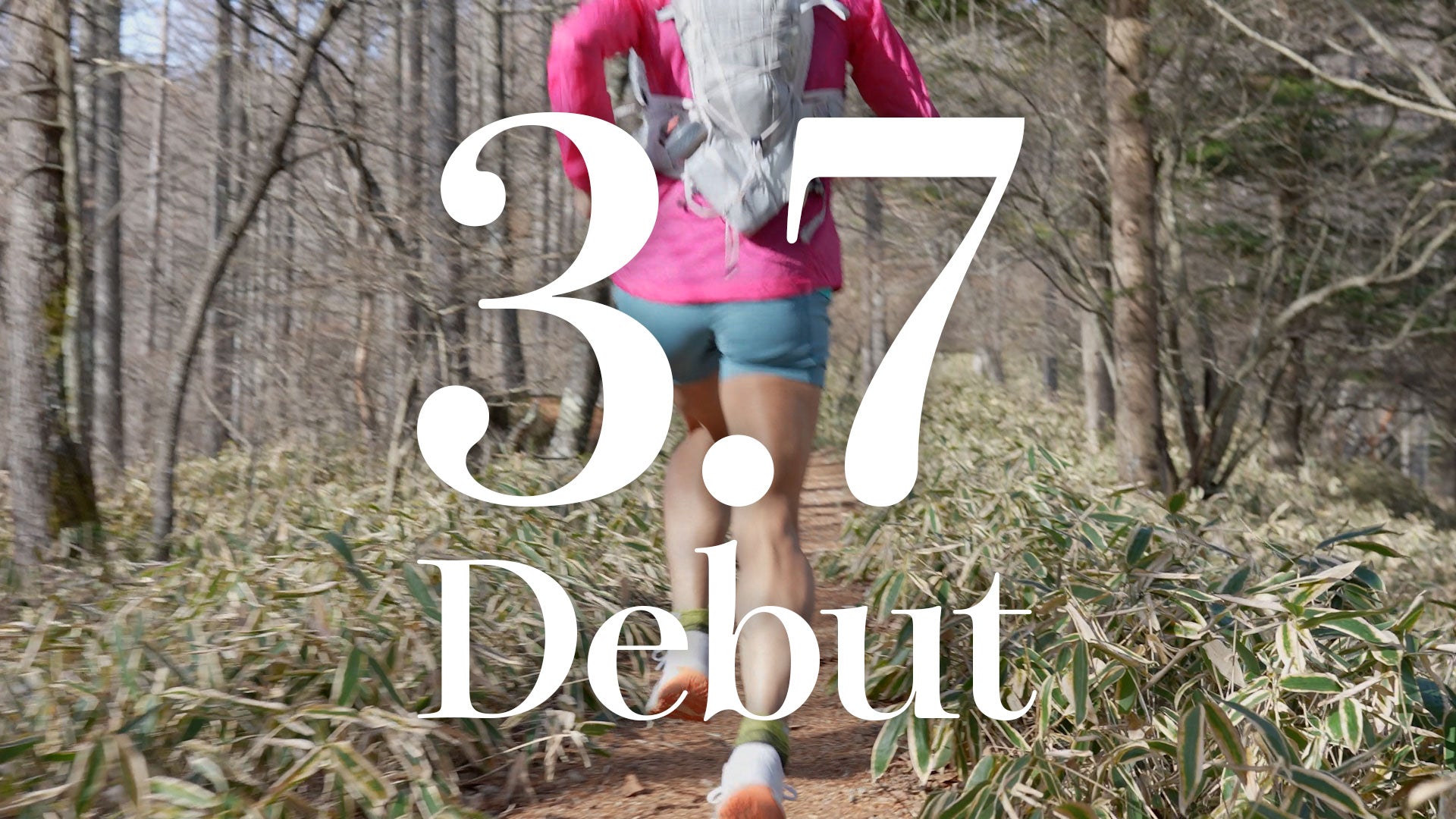 動画を読み込む: 